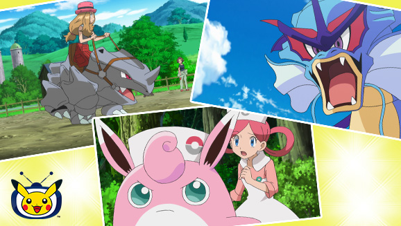 Ve a Gyarados, Rhyhorn y Wigglytuff en la serie Pokémon en TV Pokémon