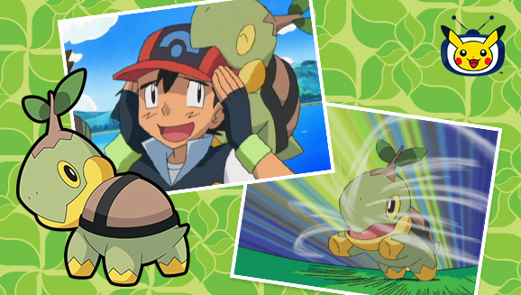 Ve a Turtwig en la serie Pokémon en TV Pokémon